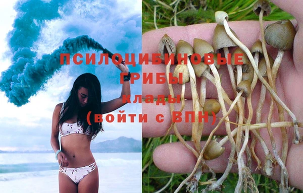 мефедрон мука Киреевск