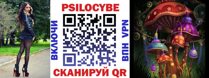 Галлюциногенные грибы Psilocybe  Великий Новгород 